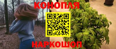 сатива Рязань