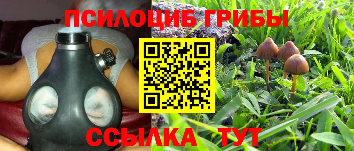 Псилоцибиновые грибы MAGIC MUSHROOMS Нижневартовск
